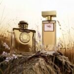 ⁦Naouma Night Perfume - عطر نعومة نايت⁩ - الصورة ⁦5⁩